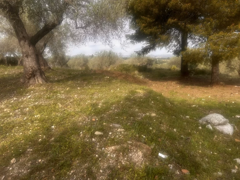 Wonen op rustieke grond in Spanje